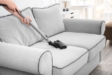 Free Australian Classifieds Rejuvenate Upholstery Cleaning Hobart in Hobart TAS